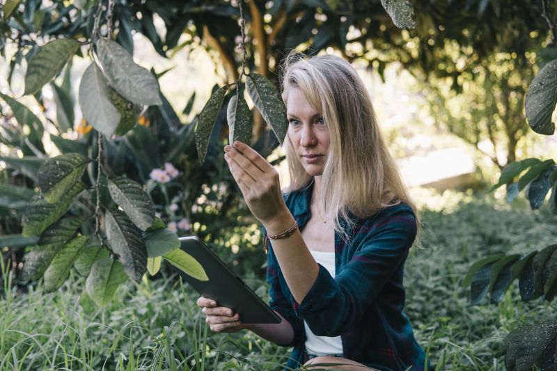 Choosing the Right Time